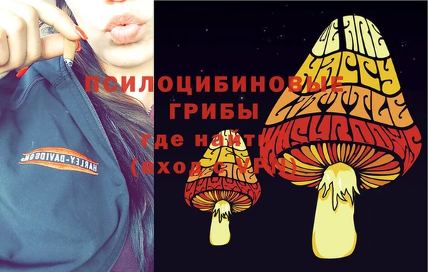 ПСИЛОЦИБИНОВЫЕ ГРИБЫ Аркадак