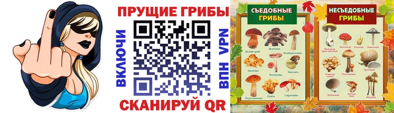 Галлюциногенные грибы прущие грибы Сосновый Бор
